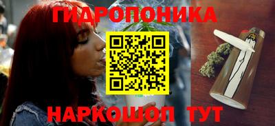 гашик Кимры