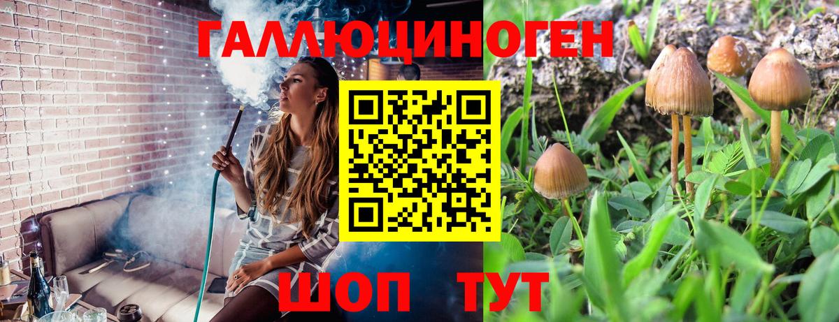 Псилоцибиновые грибы мухоморы Котельники