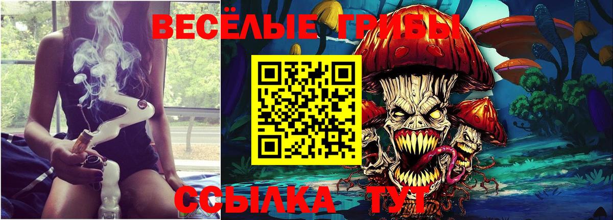 Галлюциногенные грибы GOLDEN TEACHER  Галлюциногенные грибы мухоморы  Вход с VPN  Котельники 